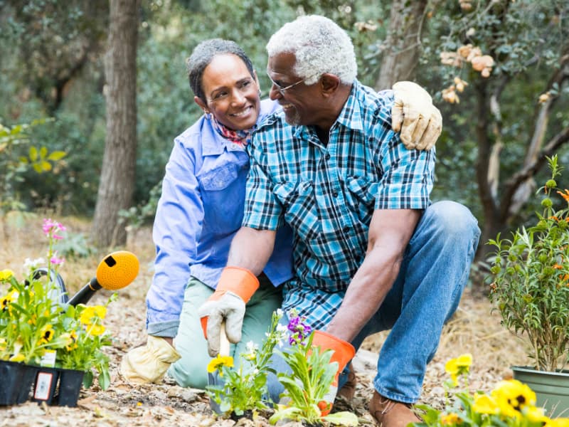 Gardening_free activities for seniors